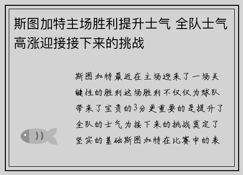 斯图加特主场胜利提升士气 全队士气高涨迎接接下来的挑战