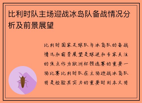 比利时队主场迎战冰岛队备战情况分析及前景展望